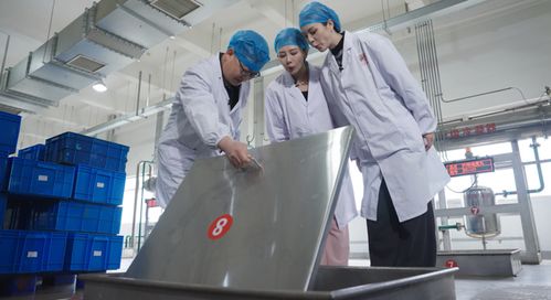 乌镇发声 仲景宛西制药以“药材好，药才好”筑牢中医药高质量发展根基